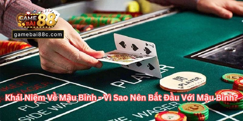 Mậu Binh